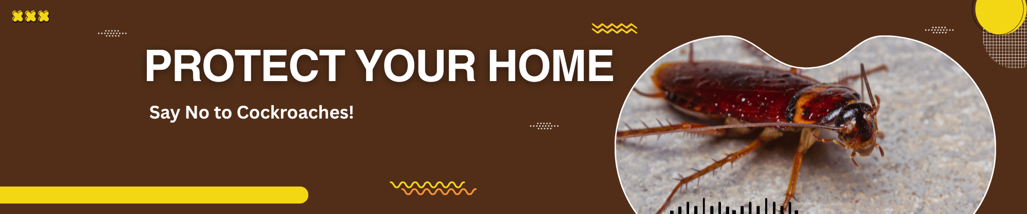 pest_control_houzecare3